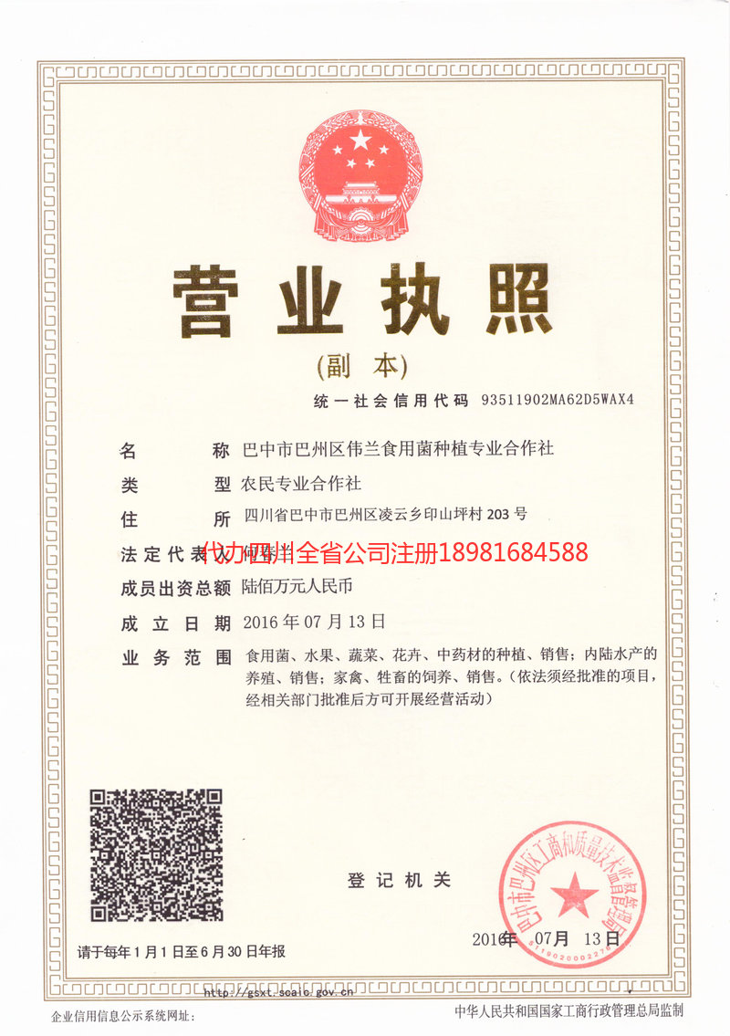 屏山屏山伟兰食用菌种植专业合作社